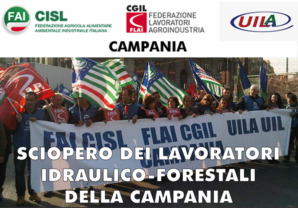 foto sciopero web
